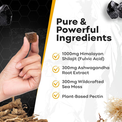 Shilajit Energy Gummies™