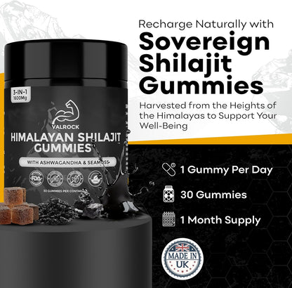 Shilajit Energy Gummies™
